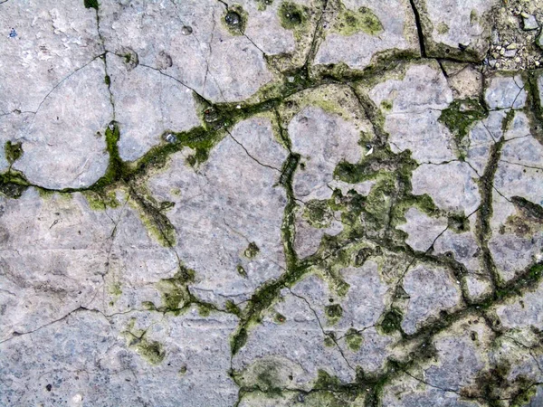 Vieux fond de plancher de béton fissuré. texture photo — Photo