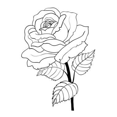 Beyaz zemin üzerine gül karikatür tarzı