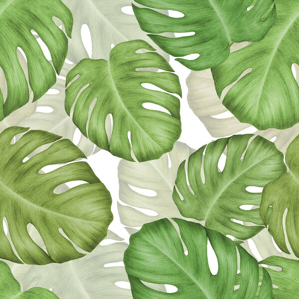 Tropical seamless pattern with large Monstera leaves.