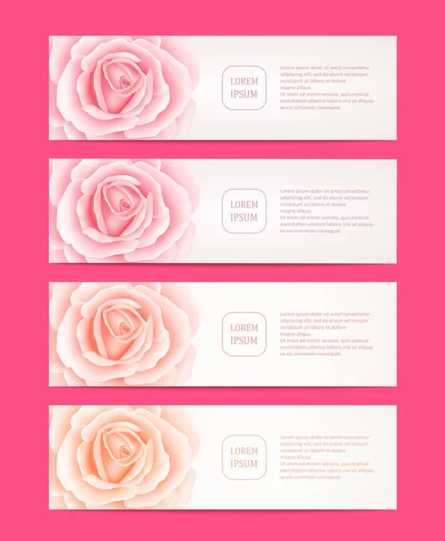 Set of four vector web banners with roses flowers. — Stock Vector