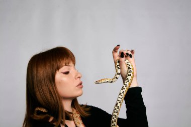 Siyah elbiseli ve yılanlı güzel bir kadın. Mükemmel makyajlı kızıl model kız. Üst düzey rötuş. Beyaz arka plan. Taze ciltli genç bir kadın. Etrafında yılan olan bir kadın..