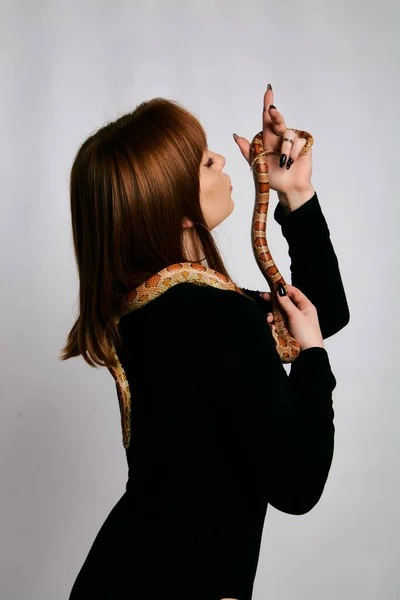 Beautiful woman in black bodywear and snake. Ginger model girl with fashion perfect make up. High end retouch. White background. Young woman with perfect fresh skin. Woman with snake around her.