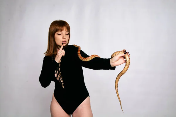 Beautiful woman in black bodywear and snake. Ginger model girl with fashion perfect make up. High end retouch. White background. Young woman with perfect fresh skin. Woman with snake around her.