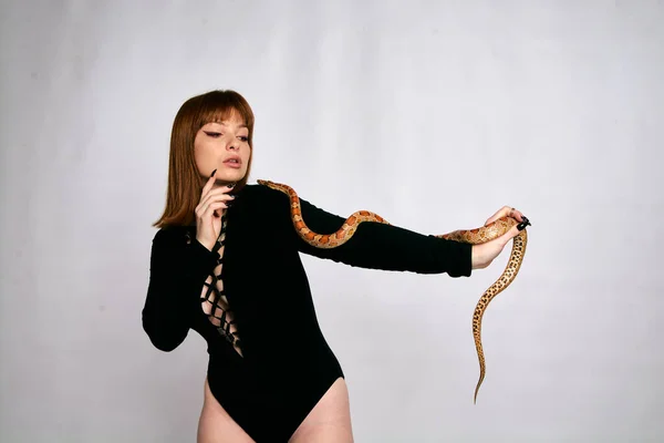 Beautiful woman in black bodywear and snake. Ginger model girl with fashion perfect make up. High end retouch. White background. Young woman with perfect fresh skin. Woman with snake around her.