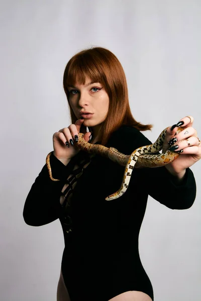 黒のボディウェアとヘビの美しい女性 ファッションとジンジャーモデルの女の子は完璧な構成します ハイエンドのリタッチ 白地だ完璧な新鮮な肌を持つ若い女性 周りに蛇のいる女 — ストック写真