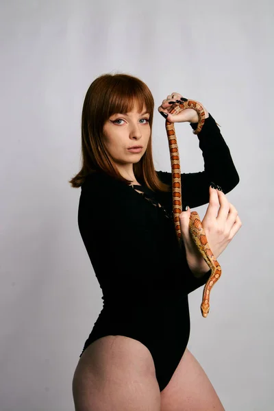 黒のボディウェアとヘビの美しい女性 ファッションとジンジャーモデルの女の子は完璧な構成します ハイエンドのリタッチ 白地だ完璧な新鮮な肌を持つ若い女性 周りに蛇のいる女 — ストック写真
