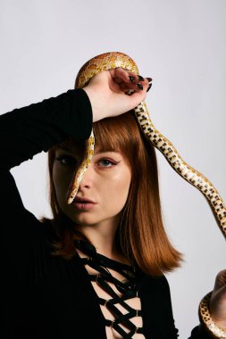 Siyah elbiseli ve yılanlı güzel bir kadın. Mükemmel makyajlı kızıl model kız. Üst düzey rötuş. Beyaz arka plan. Taze ciltli genç bir kadın. Etrafında yılan olan bir kadın..
