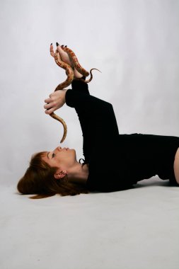 Siyah elbiseli ve yılanlı güzel bir kadın. Mükemmel makyajlı kızıl model kız. Üst düzey rötuş. Beyaz arka plan. Taze ciltli genç bir kadın. Etrafında yılan olan bir kadın..