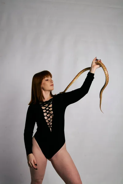 Beautiful Woman Black Bodywear Snake Ginger Model Girl Fashion Perfect — 스톡 사진
