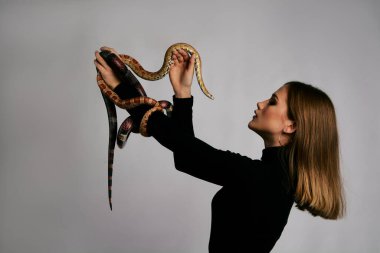 Siyah elbiseli ve yılanlı güzel bir kadın. Mükemmel makyajlı sarışın manken kız. Üst düzey rötuş. Beyaz arka plan. Taze ciltli genç bir kadın. Yüzünde yılan olan bir kadın..