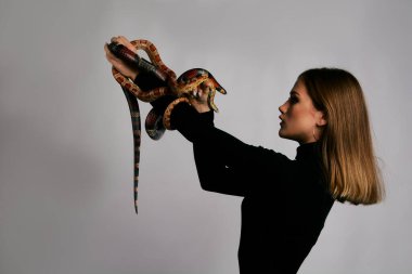 Siyah elbiseli ve yılanlı güzel bir kadın. Mükemmel makyajlı sarışın manken kız. Üst düzey rötuş. Beyaz arka plan. Taze ciltli genç bir kadın. Yüzünde yılan olan bir kadın..