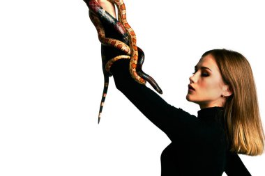 Siyah elbiseli ve yılanlı güzel bir kadın. Mükemmel makyajlı sarışın manken kız. Üst düzey rötuş. Beyaz arka plan. Taze ciltli genç bir kadın. Yüzünde yılan olan bir kadın..