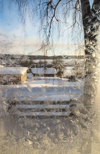 Froid sur la fenêtre — Photo