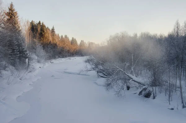 Der gefrorene Fluss und Wald ringsum — Stockfoto