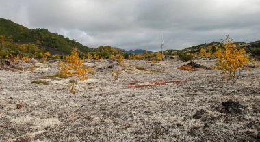 Kamçatka dağ manzarası