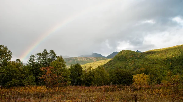 Regnbåge över hösten skogen — Stockfoto