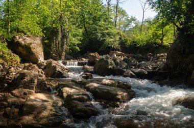 Taşların arasındaki dağ nehri