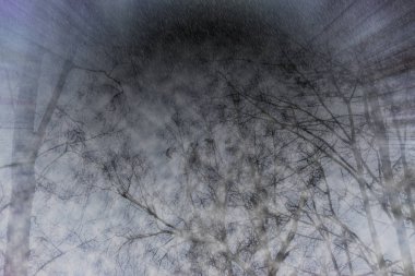 Odaklanamayan soyut resim. Ağaçların gölgeleri ve siluetleri 