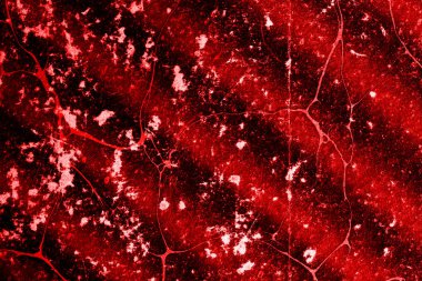 Vintage yüzey. Parlak kırmızı renkte soyut resim. Benim için yer aç.