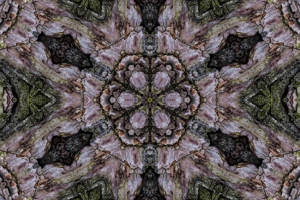 Abstract Kaleidoscopic Background Photos Tree Bark Selective Focus — Stock Photo, Image
