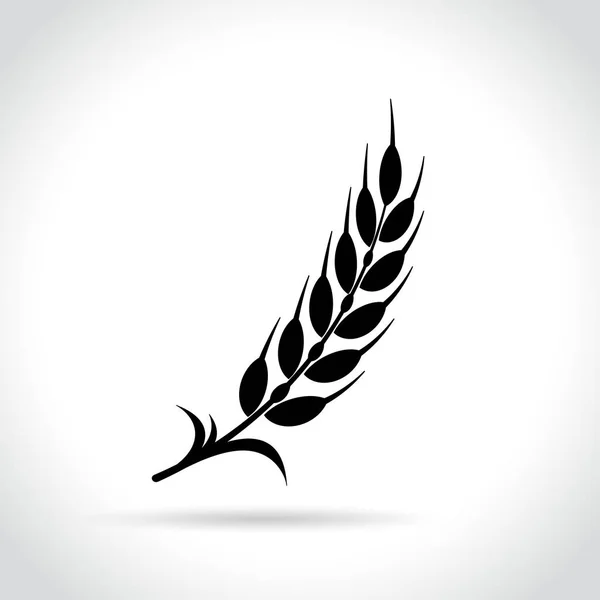 Icône de blé sur fond blanc — Image vectorielle