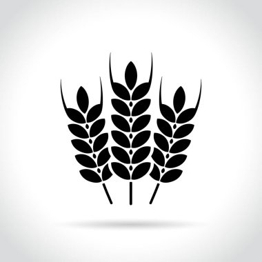 Beyaz arka plan buğday simgesini