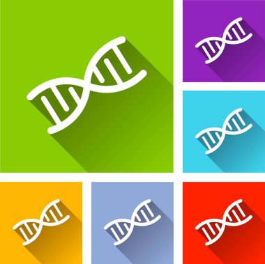 DNA kutsal kişilerin resmi ile uzun gölge