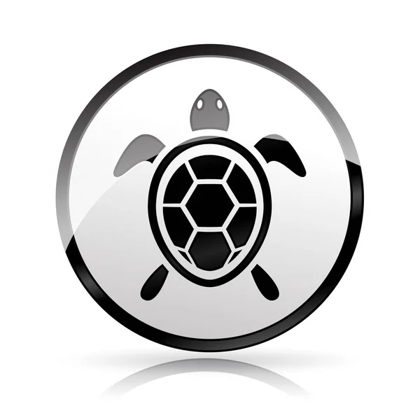 Kaplumbağa simgesi beyaz arka plan üzerinde — Stok Vektör