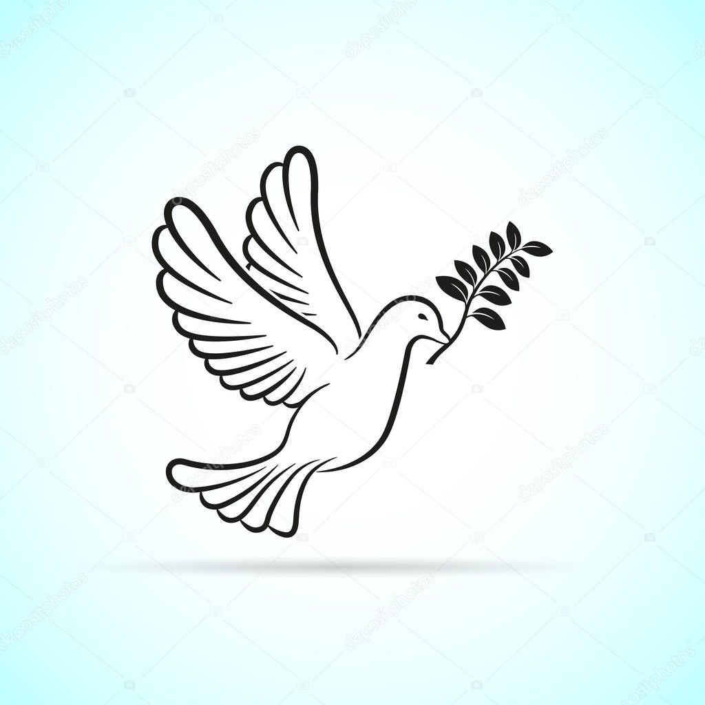 dove icon on white background