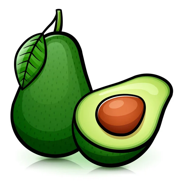 Vector Illustration Avocado Isolated Design Drawing — Stock Vector