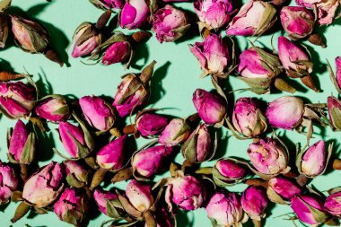 Turkuaz arka planda kurumuş pembe güller. Çiçek arka planı.