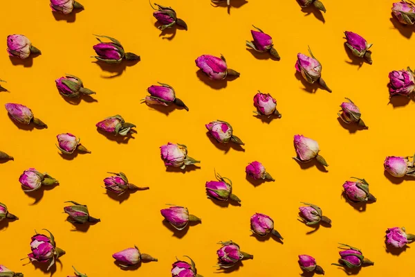 Безшовний Візерунок Квітами Сушені Рожеві Троянди Жовтому Тлі — стокове фото