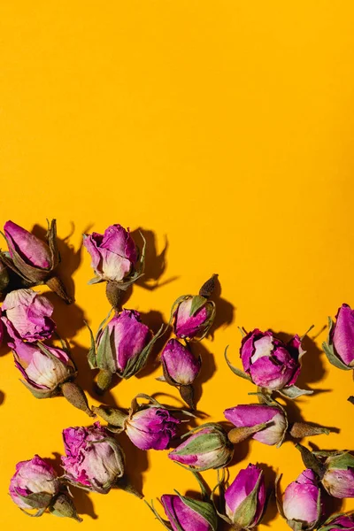 Висушені Рожеві Троянди Жовтому Тлі Квітковий Фон Копіювати Простір — стокове фото