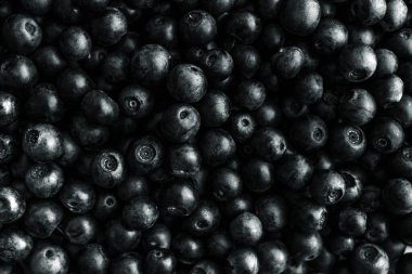 Yabanmersini arka planı. Olgun taze meyveler, yakın çekim..