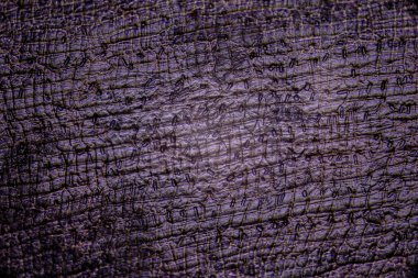 Soyut mor arkaplan. Mikroskopta bak. Soğan kabuğu. Seçici odak.