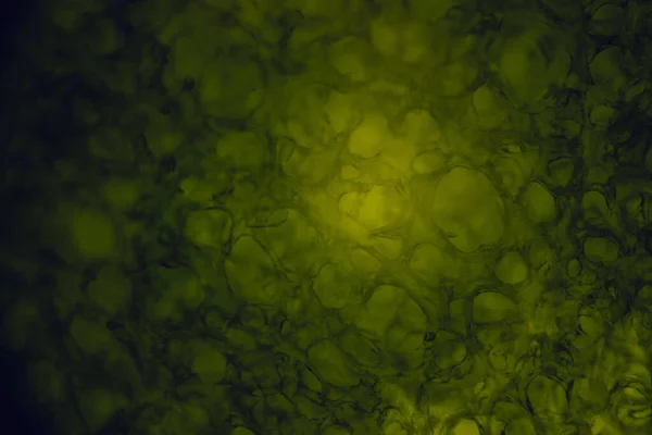 Fond Écran Vert Abstrait Peel Lime Vue Microscope — Photo