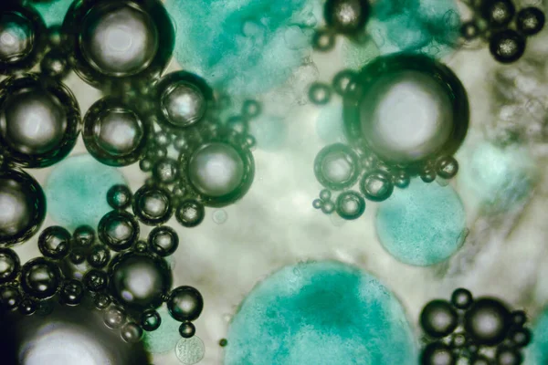 Contexte Abstrait Vue Sous Microscope Bulles Vertes Dans Liquide — Photo