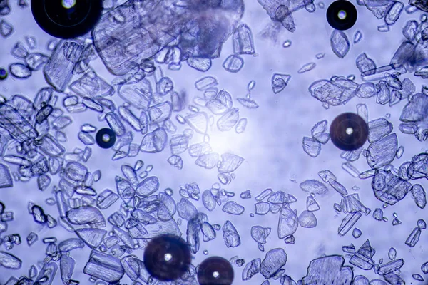 Contexte Abstrait Liquide Avec Particules Vue Microscope — Photo