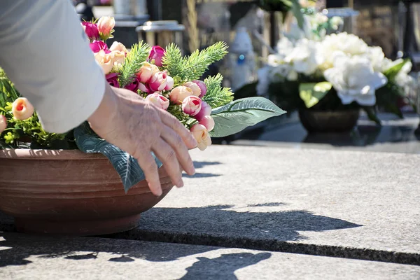 Woman at cemetery put flowers on the grave in sunny day