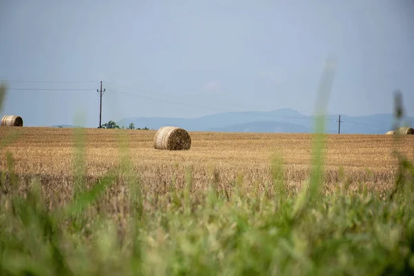 Ballots de paille, meule de foin sur un champ après la récolte estivale — Photo