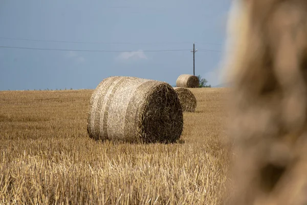 Ballots de paille, meule de foin sur un champ après la récolte estivale — Photo