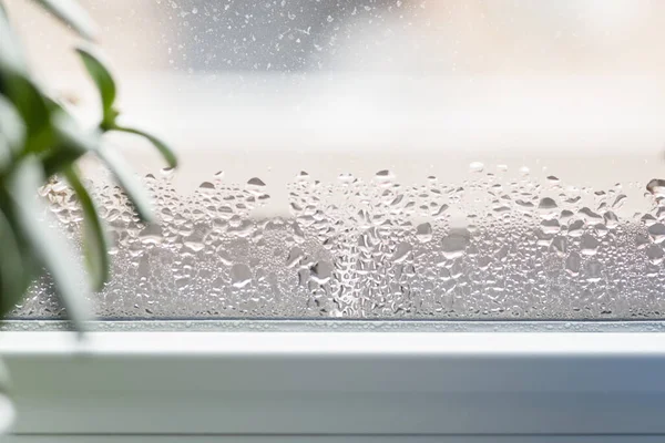 Selective Focus Water Condensation Window Glass Humidity House Home Moisture — Stock Photo, Image