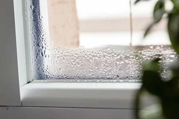 Selective Focus Water Condensation Window Glass Humidity House Home Moisture — Stock Photo, Image