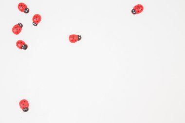 Kırmızı oyuncak Bayan hataları 