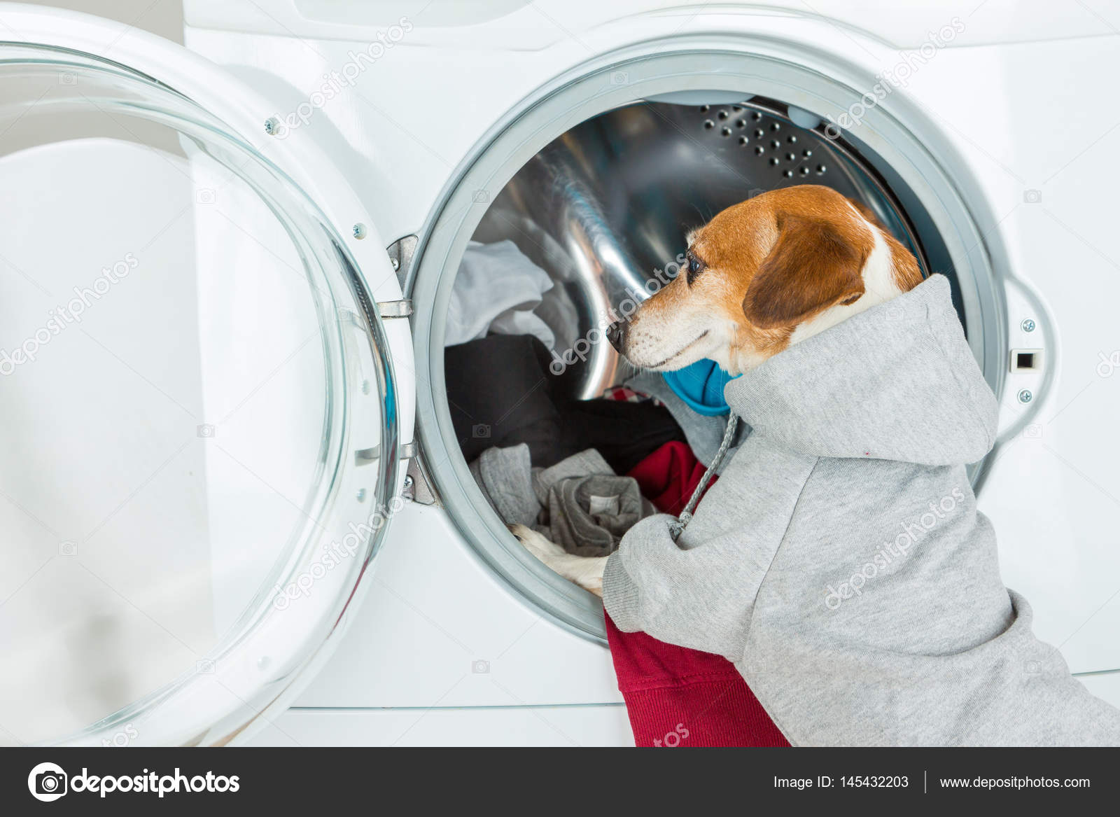 Can You Put A Dog Harness In The Washing Machine