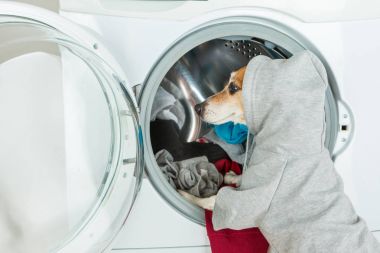  Spor tarzı gri kapşonlu elbise çamaşır makinesi için koyarak komik giyimli köpek. 