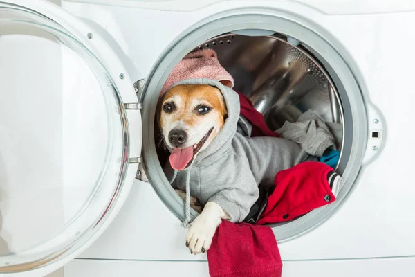 Feliz relaxado casa trabalho ajudante deitado dentro da máquina de lavar roupa . — Fotografia de Stock