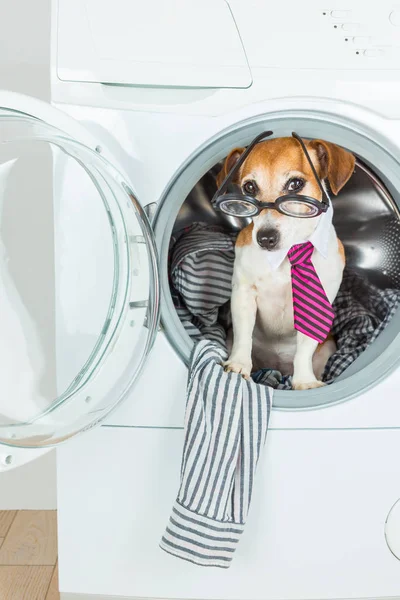 Chytré čištění vašeho oblečení. — Stock fotografie