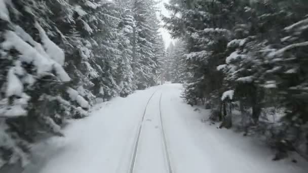 En el tren a través del bosque nevado de invierno . — Vídeos de Stock