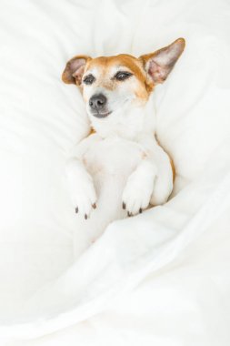  Yatak iyi eğlenceler! 